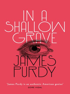 cover image of In a Shallow Grave
